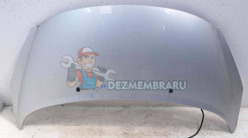 Capota Peugeot 207 (WA) [Fabr 2006-2012] EZR