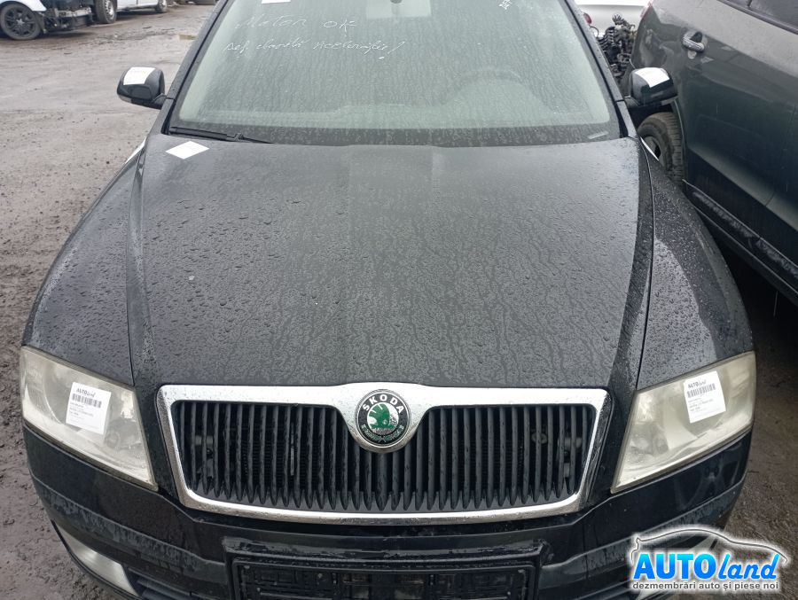 Capota Plus Grila Skoda OCTAVIA 1Z3 2004