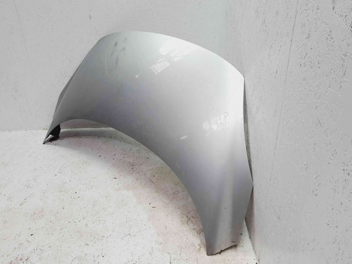 Capota Renault Scenic 3 [Fabr 2009-2015] TED69