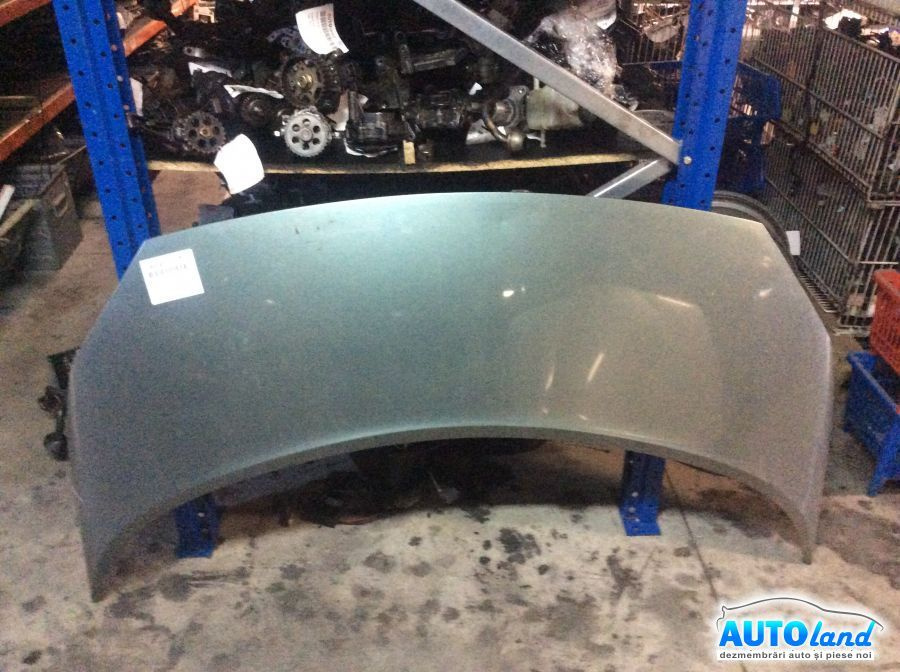 Capota Renault SCENIC II JM0/1 2003