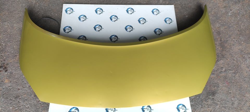Capota Renault Scenic II