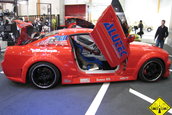 CAR SOUND SINSHEIM 2007