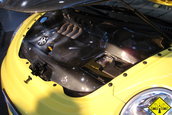 CAR SOUND SINSHEIM 2007