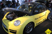 CAR SOUND SINSHEIM 2007