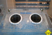 CAR SOUND SINSHEIM 2007