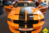 CAR SOUND SINSHEIM 2007