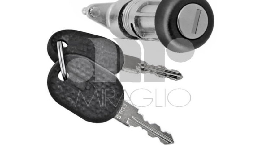 Carcasa cilindru inchidere FIAT DUCATO platforma / podwozie (230) Producator MIRAGLIO 80/382