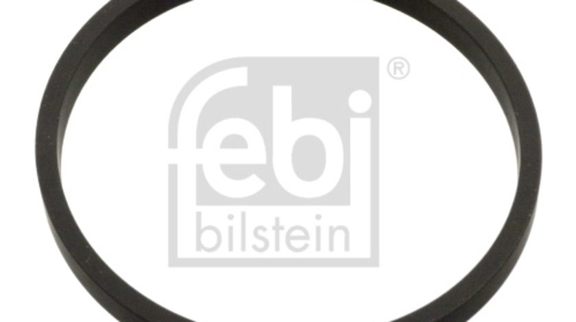 Carcasa clapeta (103795 FEBI BILSTEIN) SEAT,SKODA,VW