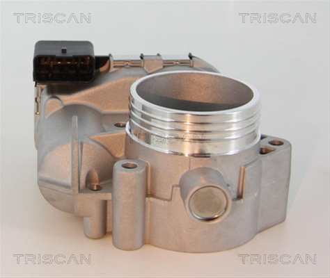 Carcasa Clapeta Triscan Citroën 8820 10002