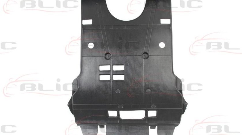 Carcasa de motor CITROËN C4 Picasso I UD Producator BLIC 6601-02-0538860P