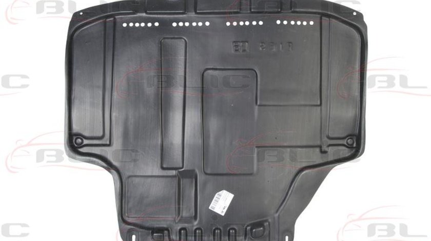 Carcasa de motor FORD FIESTA VI Producator BLIC 6601-02-2565861P