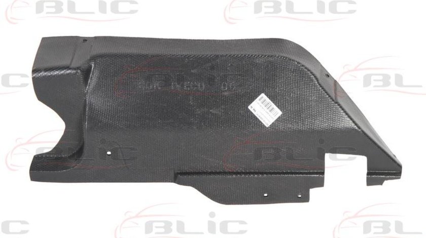 Carcasa de motor IVECO DAILY IV nadwozie pe?ne / kombi Producator BLIC 6601-02-3081871P