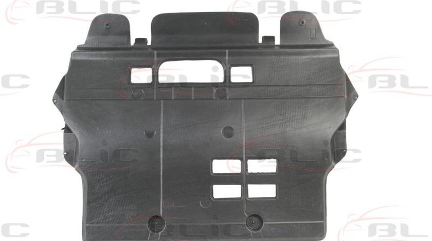 Carcasa de motor PEUGEOT 308 4A 4C Producator BLIC 6601-02-5519860P