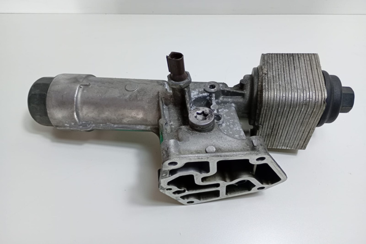 Carcasa filtru ulei cu termoflot 038115389 Volkswagen VW Passat B5 [1996 - 2000]