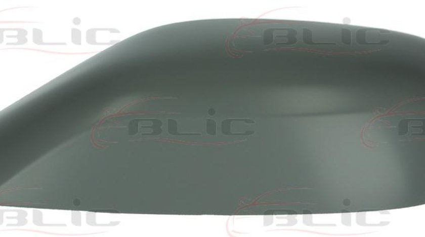 Carcasa oglinda exterioara RENAULT LAGUNA II BG0/1 Producator BLIC 6103-01-1321229P