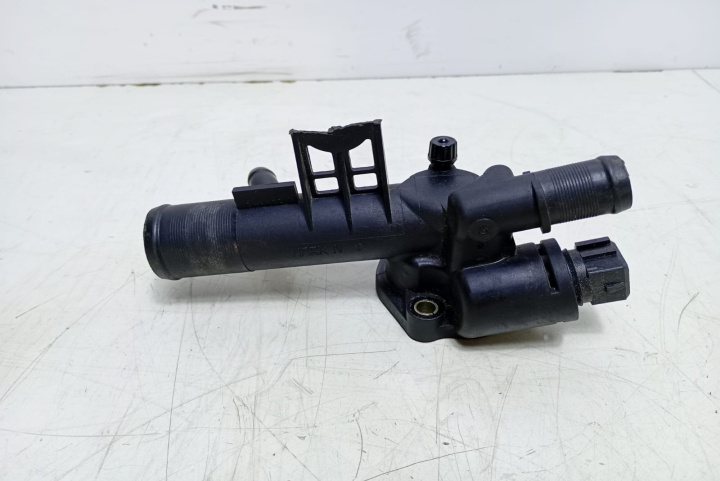 Carcasa termostat 244402A Renault Megane 2 [2002 - 2006]