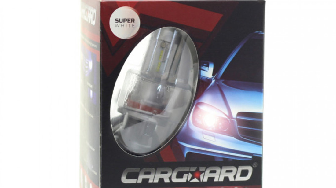 Carguard Set Led HB4 12 24V 4000 lm Super White 9006-HB4-LED