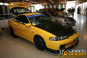 Carlisle Performance And Style 2008