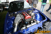 Carlisle Performance And Style 2008