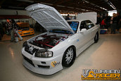 Carlisle Performance And Style 2008
