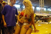 Cars and Girls 3