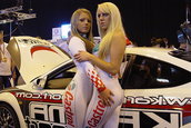 Cars and Girls 3
