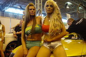 Cars and Girls 3