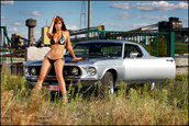 Cars and Girls 4