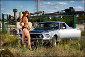 Cars and Girls 4