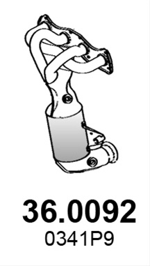 Catalizator Asso Peugeot 36.0092