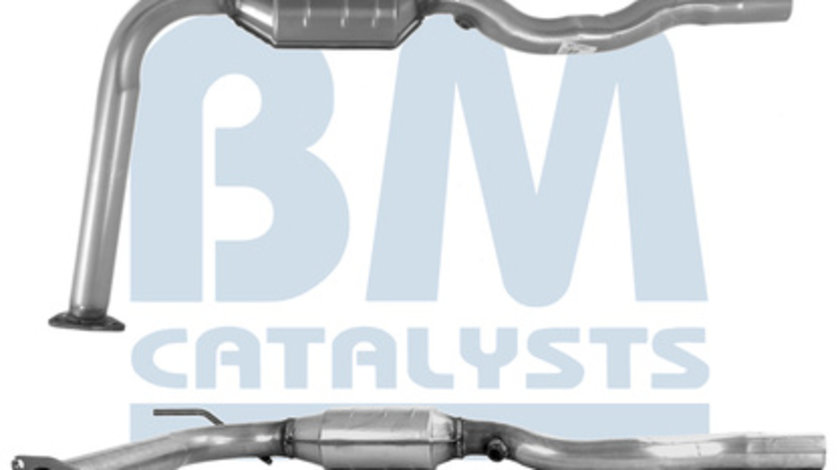 Catalizator (BM90738H BM CATALYSTS) VW