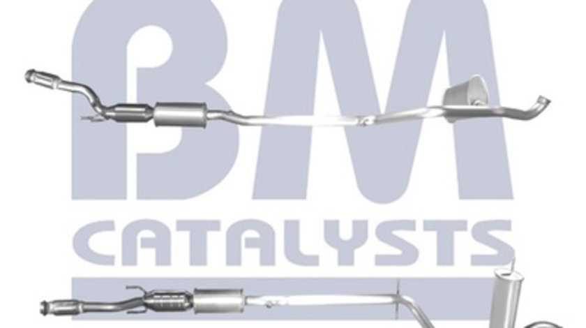 Catalizator (BM91674H BM CATALYSTS) PEUGEOT