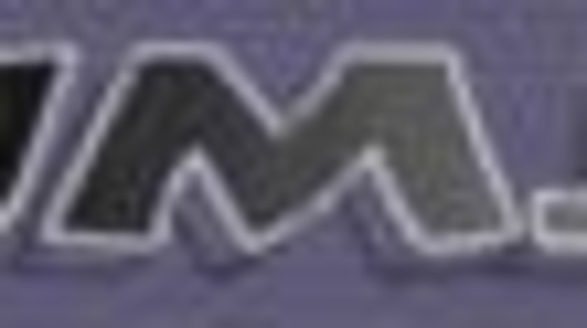 Catalizator JMJ JMJ2/55 EURO3