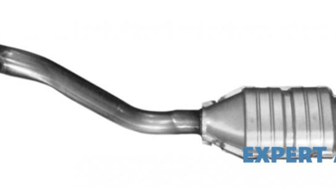 Catalizator Peugeot 406 (1995-2005)[8B,8E/F,8C] 1705G4