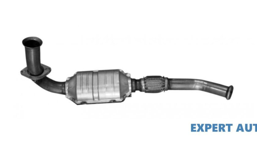 Catalizator Renault Kangoo (1997->)[KC0/1_] 7700430017