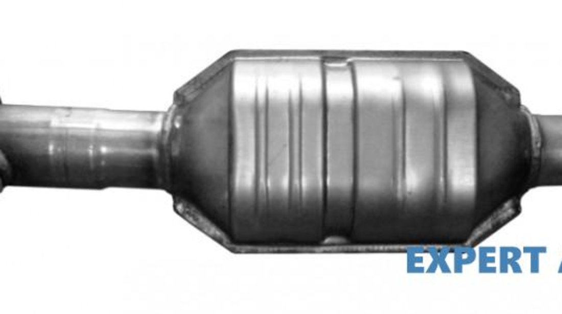 Catalizator Renault Megane I (1996-2003) 7700844691