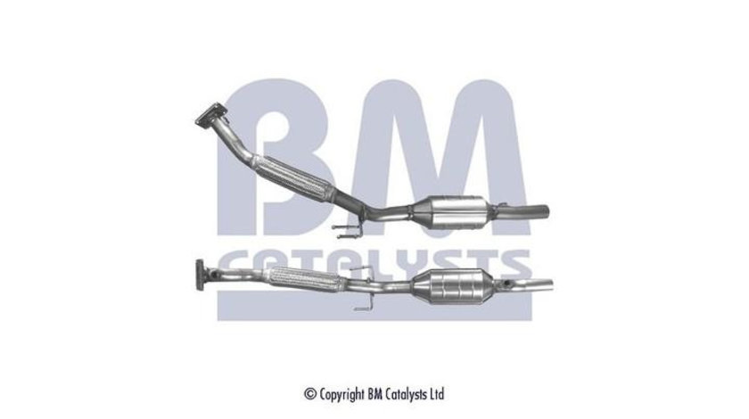 Catalizator Skoda FABIA (6Y2) 1999-2008 #2 20757