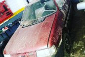 Ce mai descoperire! Mai multe masini Peugeot, Alfa Romeo si Fiat au fost gasite noi-noute in Argentina