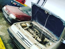 Ce mai descoperire! Mai multe masini Peugeot, Alfa Romeo si Fiat au fost gasite noi-noute in Argentina