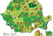 Ce masini de lux si-au cumparat romanii in 2010-2011. Iata harta pe judete!