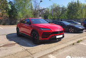 Ce masini tari au mai aparut pe strazile din Romania? Poze noi din trafic