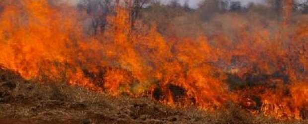 Ce sfaturi dau politistii soferilor care circula in zonele cu incendii de vegetatie