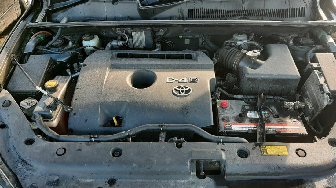 Centuri siguranta spate Toyota RAV 4 2008 SUV 2.2 TDI