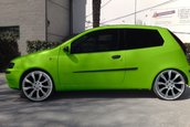 cezar202001