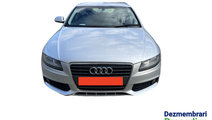 Cheder pe usa spate dreapta Audi A4 B8/8K [2007 - ...