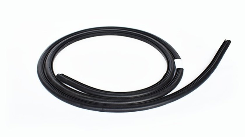 CHEDER USA DACIA ASAM 55478 <br>