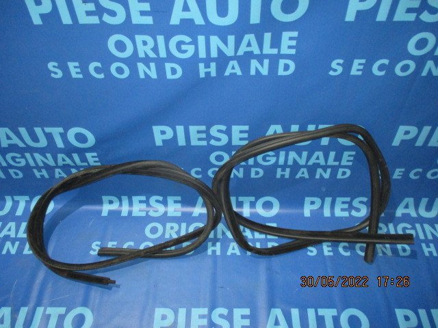 Chedere portiere BMW E90 2006 (spate)