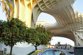 Chevrolet Malibu - Galerie Foto