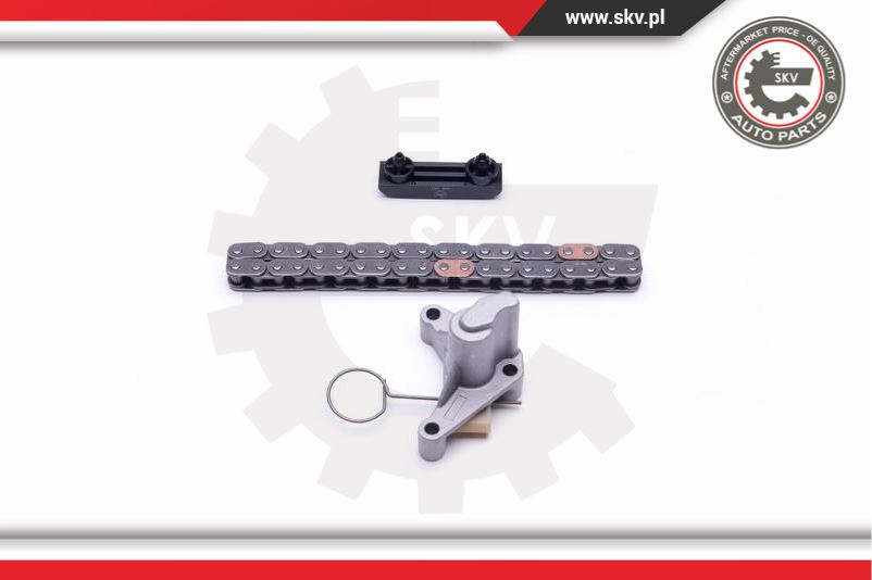 Chit lant de distributie ; CITROEN FIAT FORD PEUGEOT VOLVO