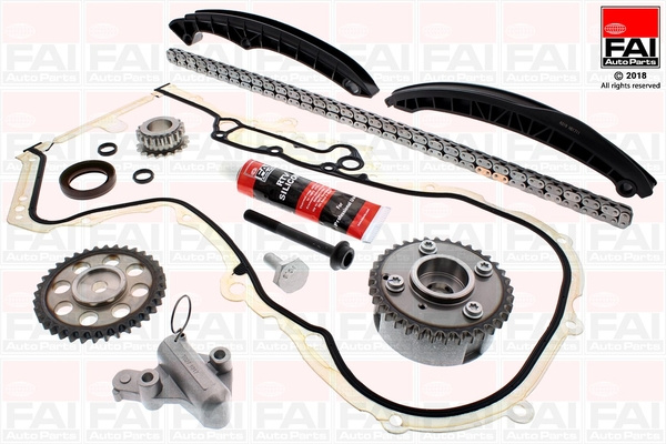 Chit lant de distributie (TCK202LVVT FAI) SEAT,SKODA